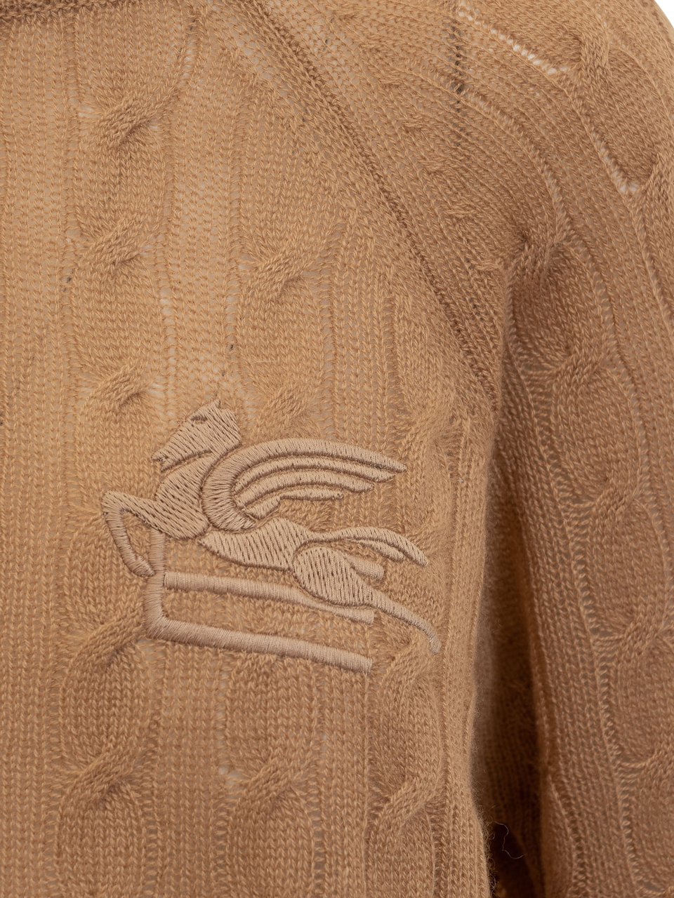 Etro Maglione con Pegaso Bruin