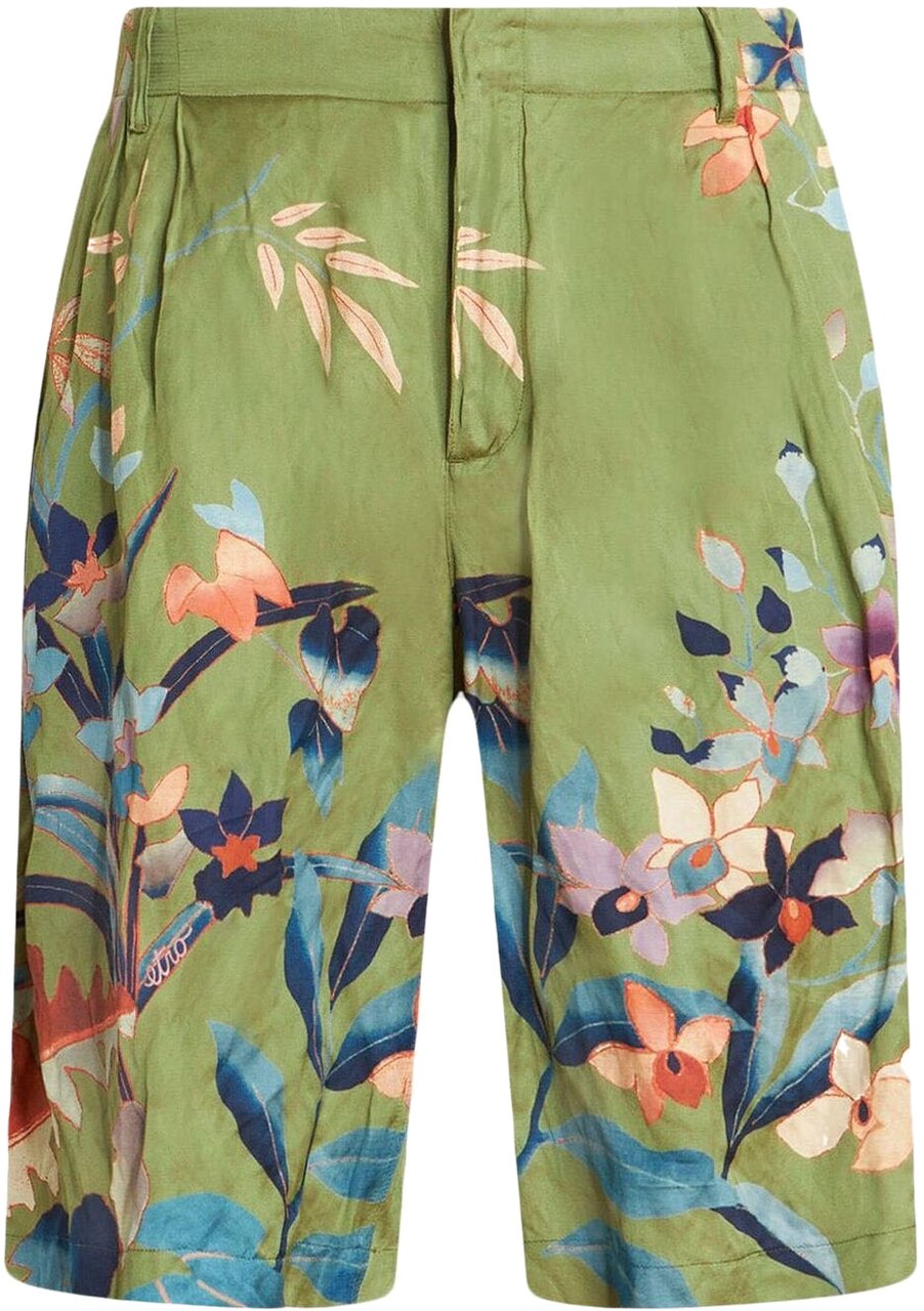 Etro Shorts Green Groen