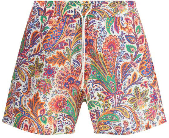 Etro Etro Multicolor Polyester Short And Mini Shorts Divers