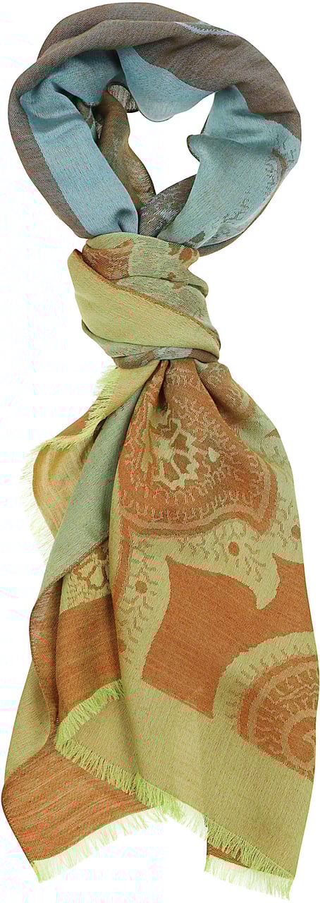 Etro Fringes Scarf Green Groen
