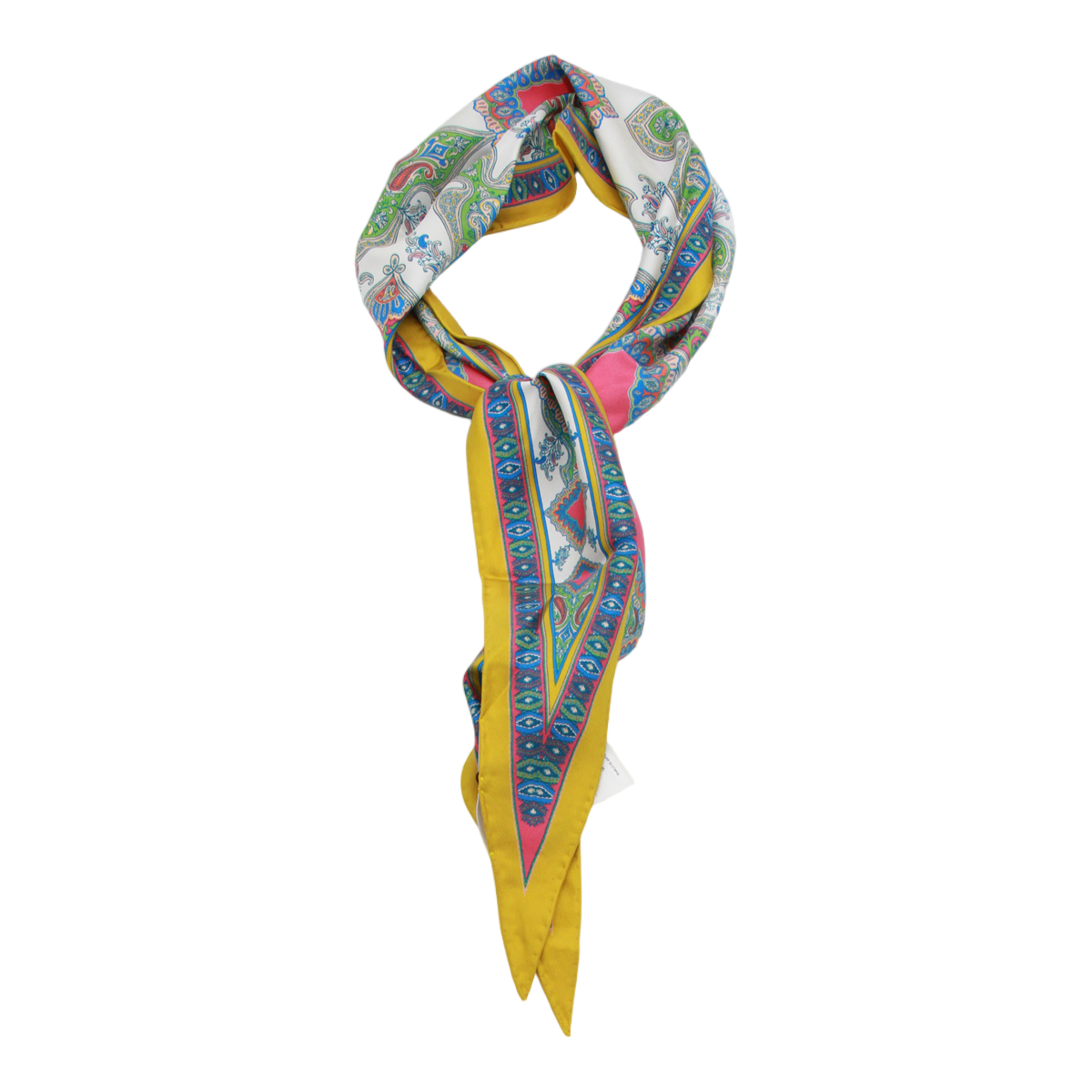 Etro Intricate Paisley Pattern Scarf With Geometric Borders Wit
