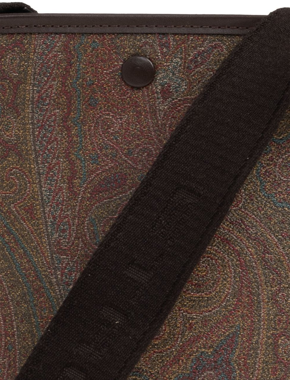 Etro Bags Brown Bruin