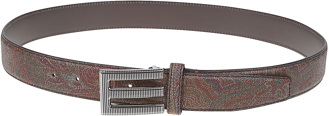Etro Arnica Logo Belt Brown Bruin
