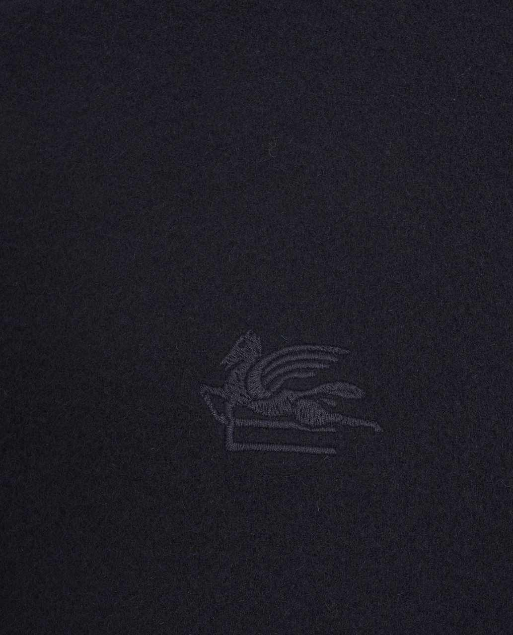 Etro Bomber with logo embroidery Blauw