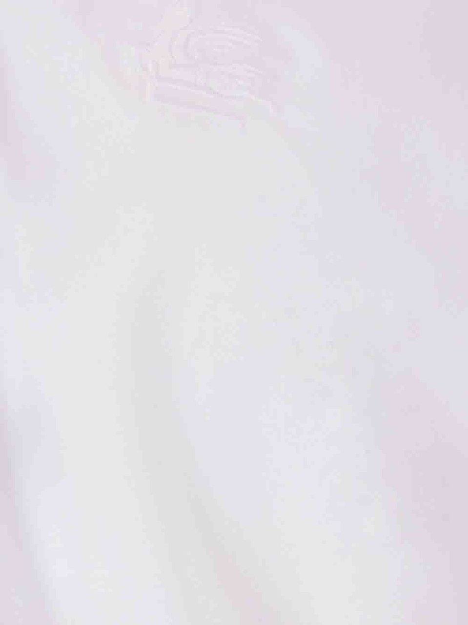 Etro Shirts White Wit