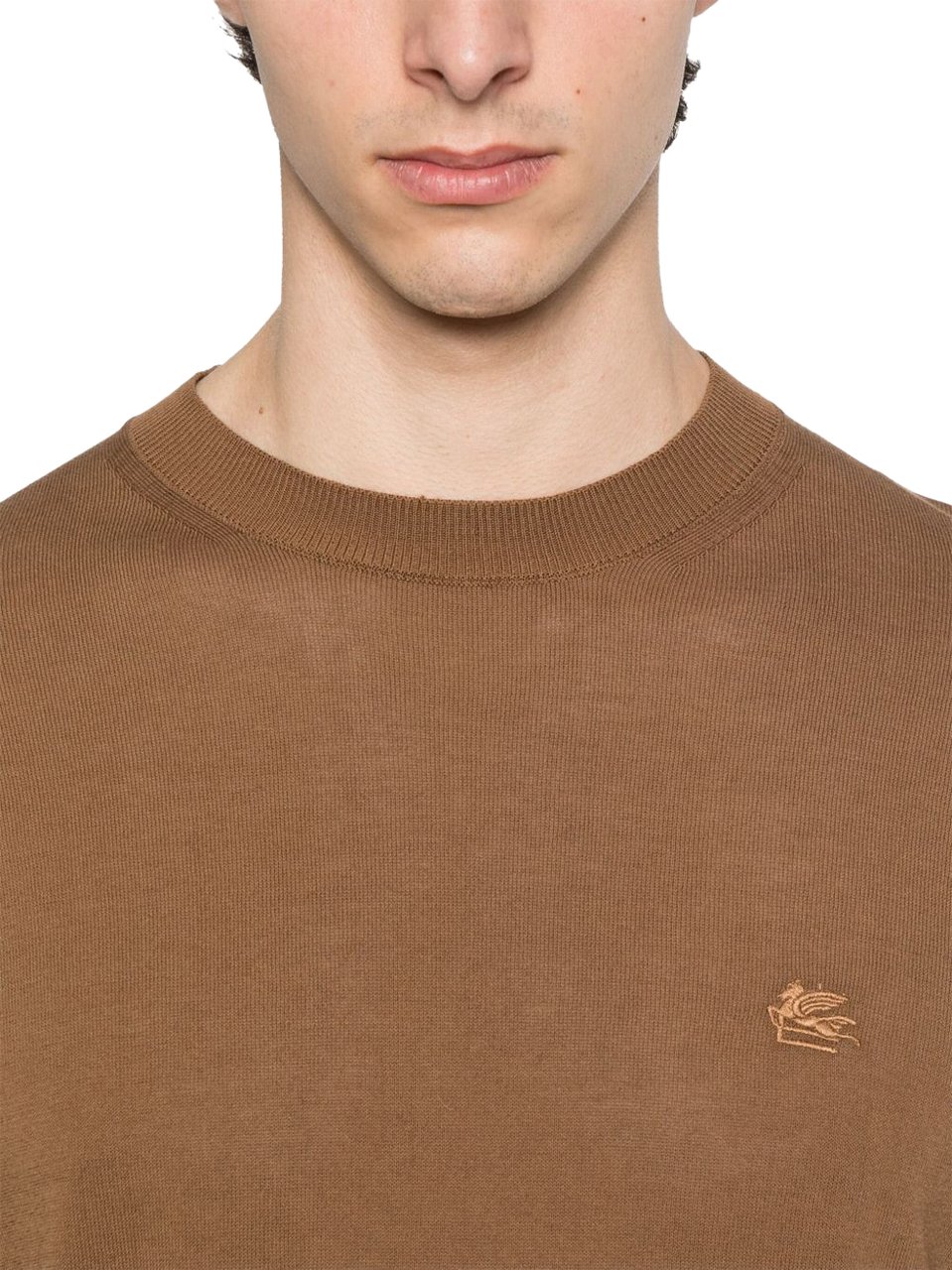 Etro Etro Maglie Marrone Bruin