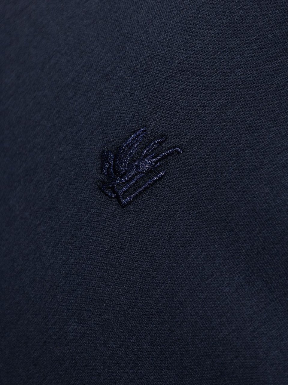 Etro Etro T-shirts And Polos Blue Blauw