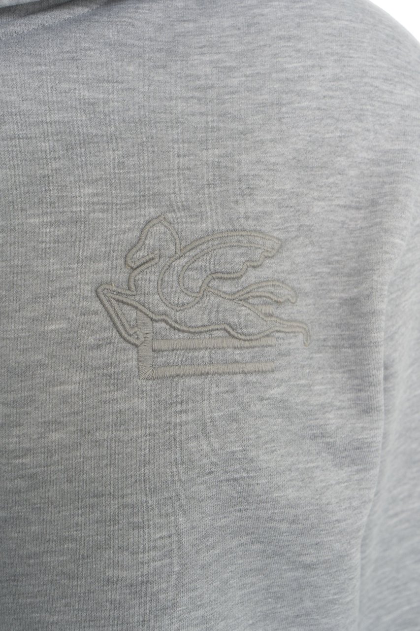 Etro Hoodie with logo embroidery Beige