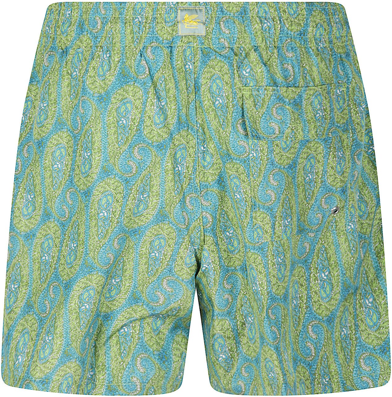 Etro Roma Swim Trunk Green Groen
