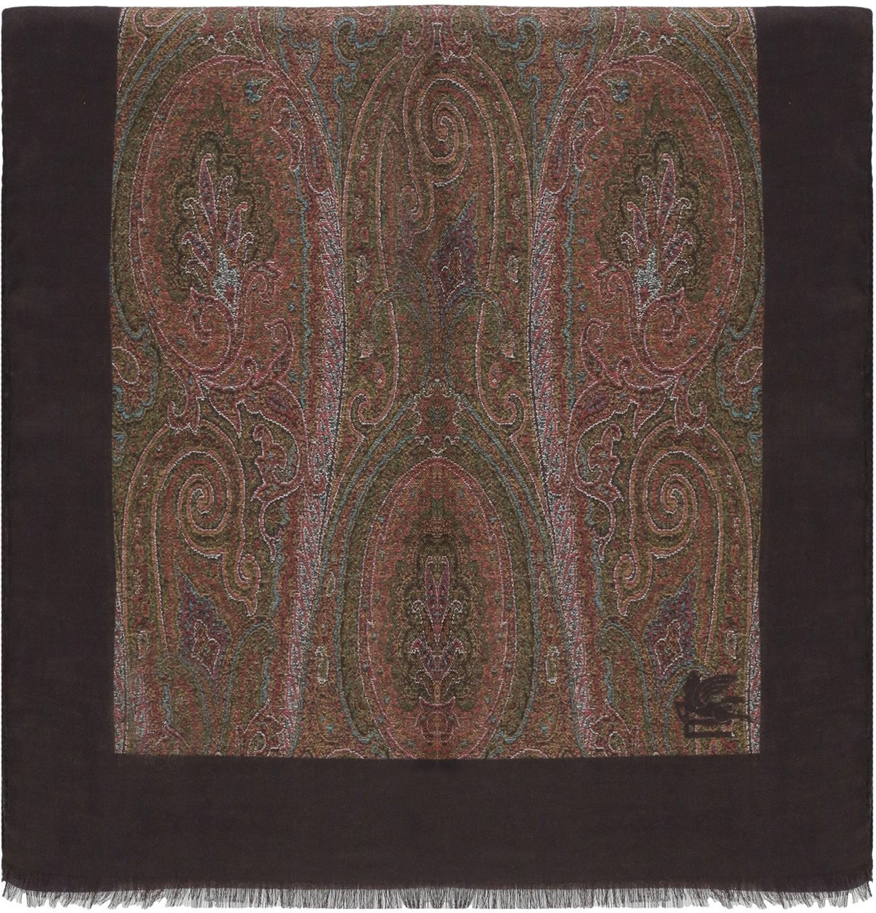 Etro Scarfs Viola Bruin