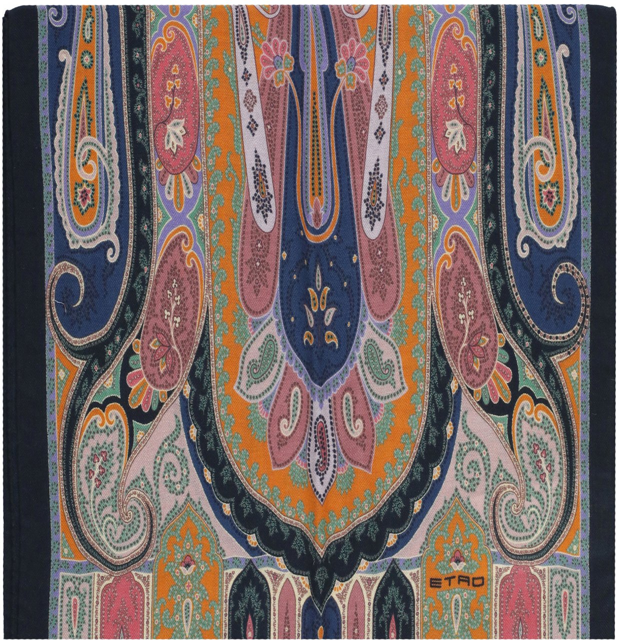 Etro Scarfs Multicolor Divers