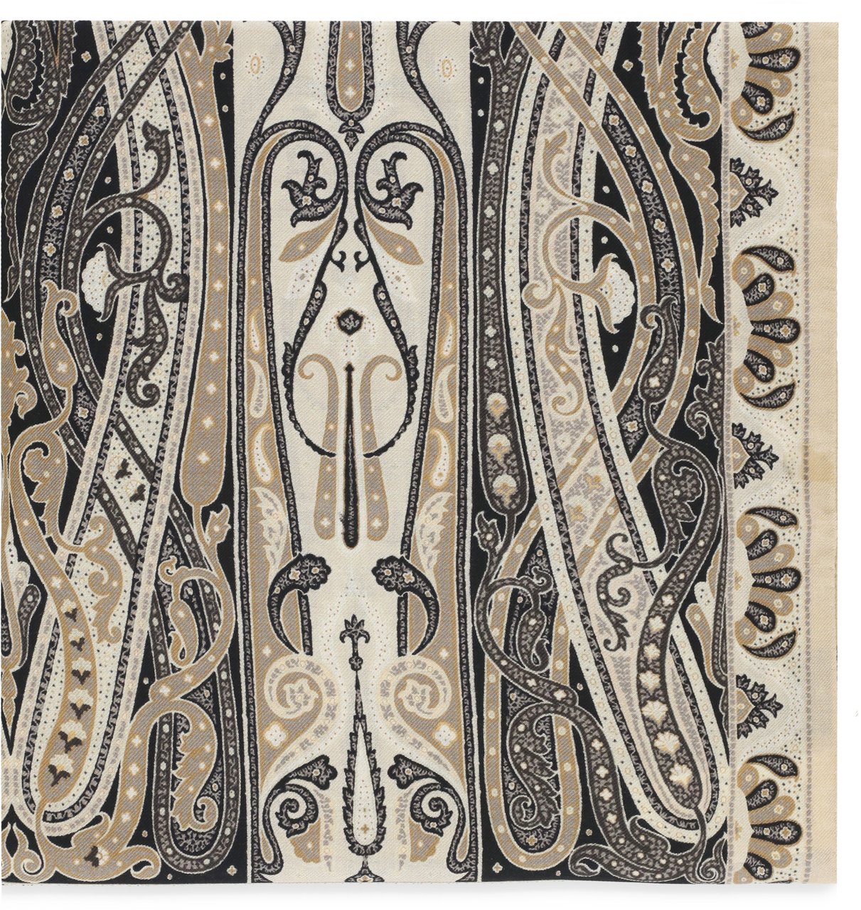 Etro Scarfs Multicolor Divers