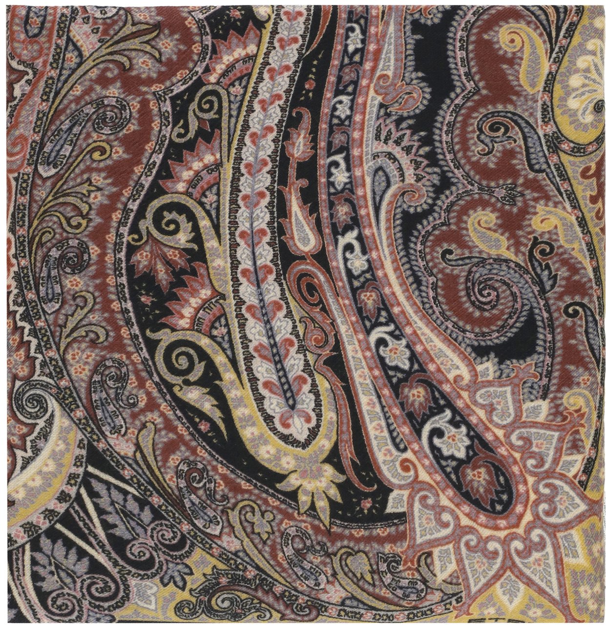 Etro Scarfs Multicolor Divers
