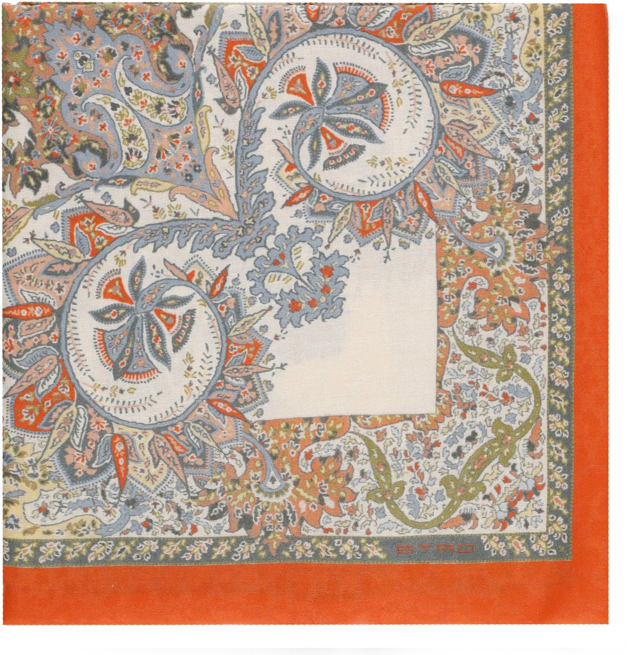 Etro Scarfs Multicolor Divers