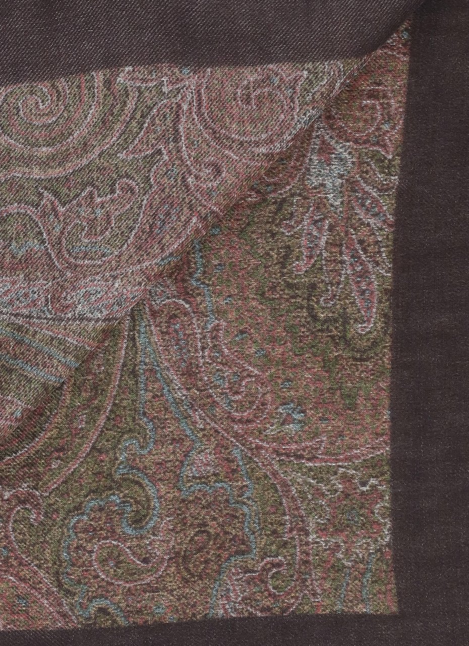 Etro Scarfs Viola Bruin