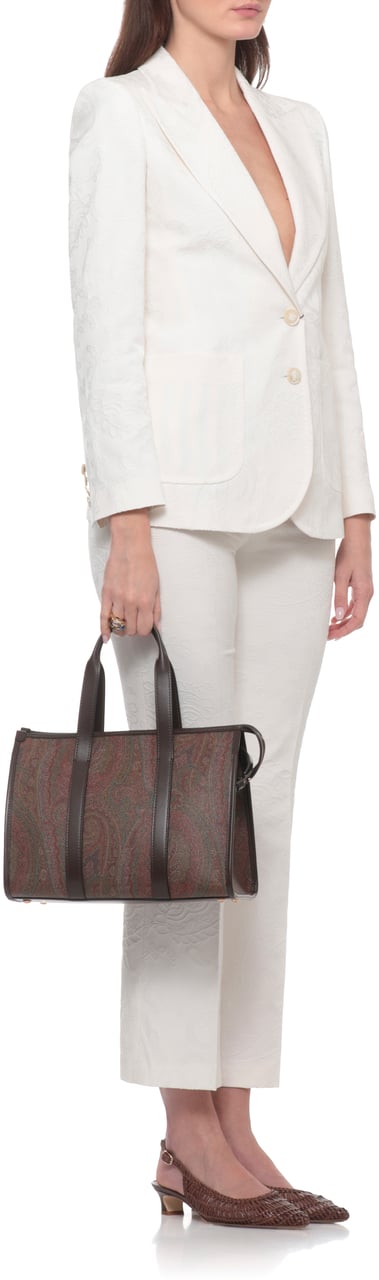 Etro Bags Brown Bruin