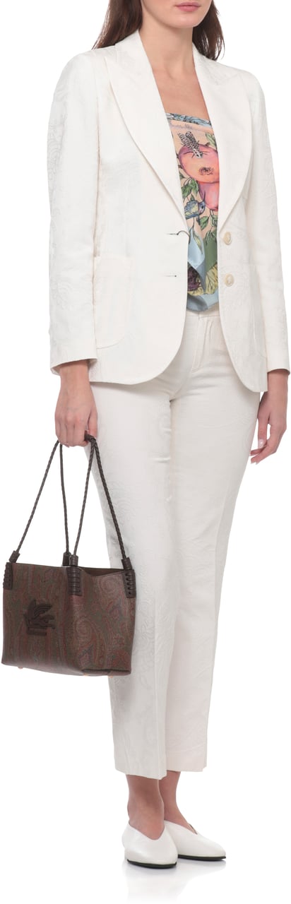 Etro Bags Brown Bruin