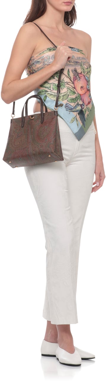 Etro Bags Brown Bruin