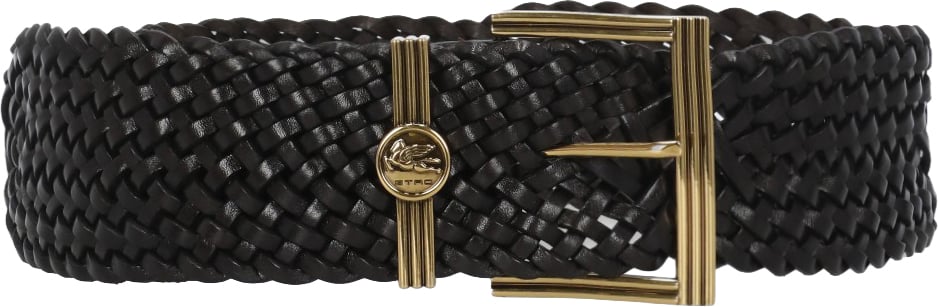 Etro Belts Brown Zwart