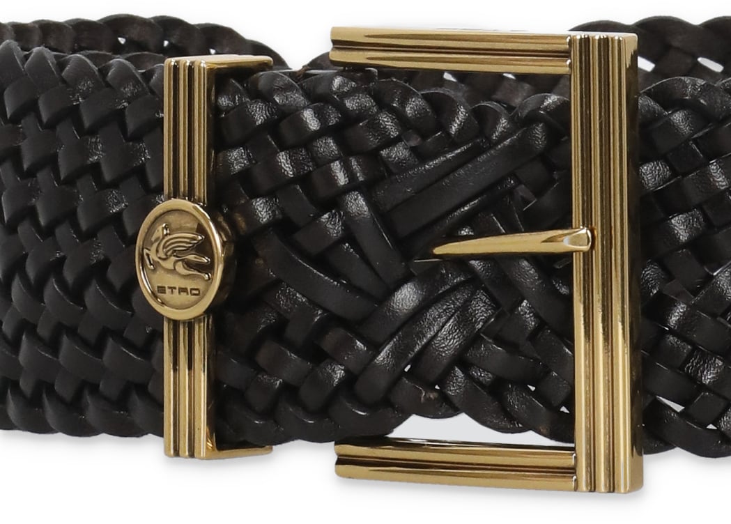 Etro Belts Brown Zwart