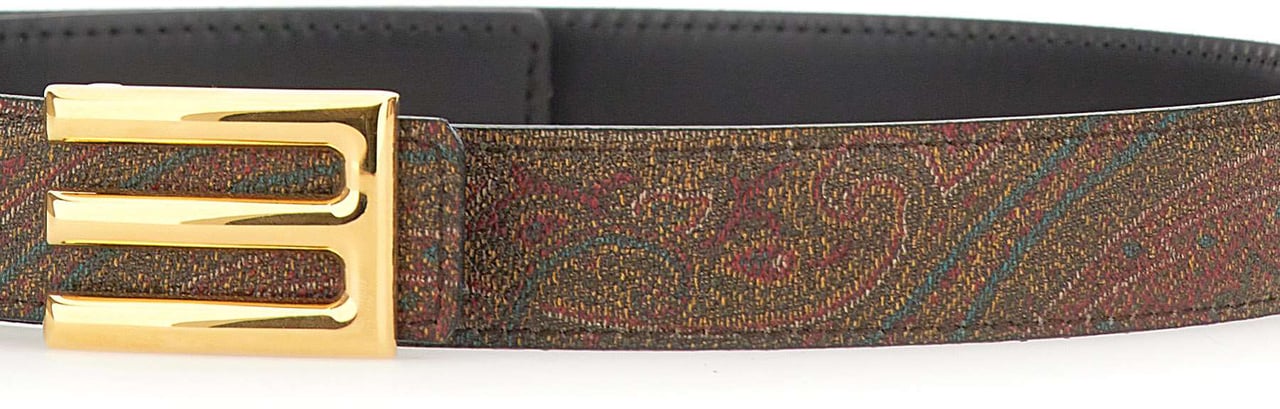 Etro Belts Multicolour Divers
