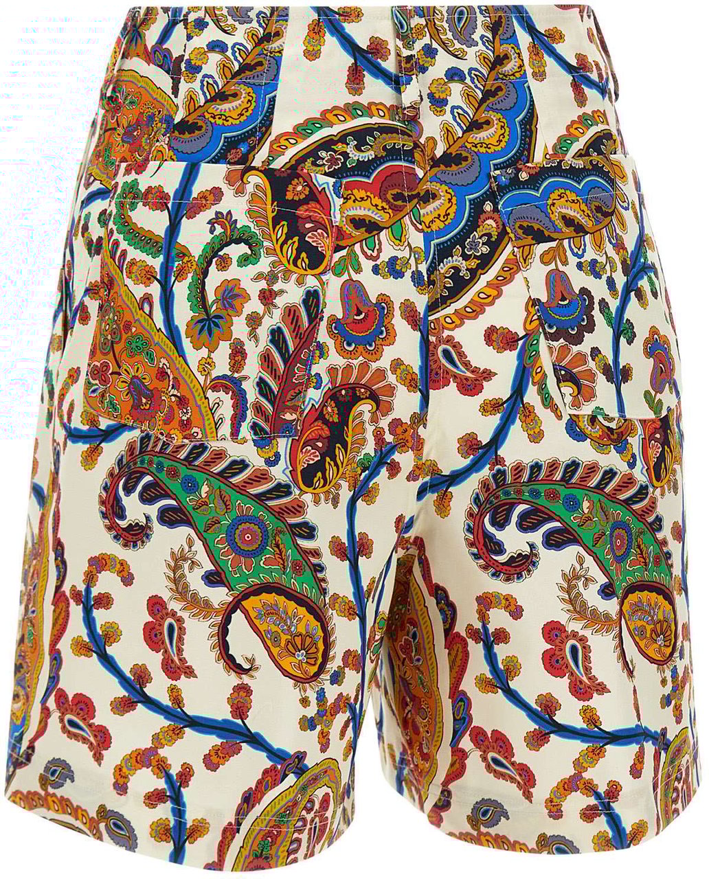 Etro Shorts Multicolour Divers