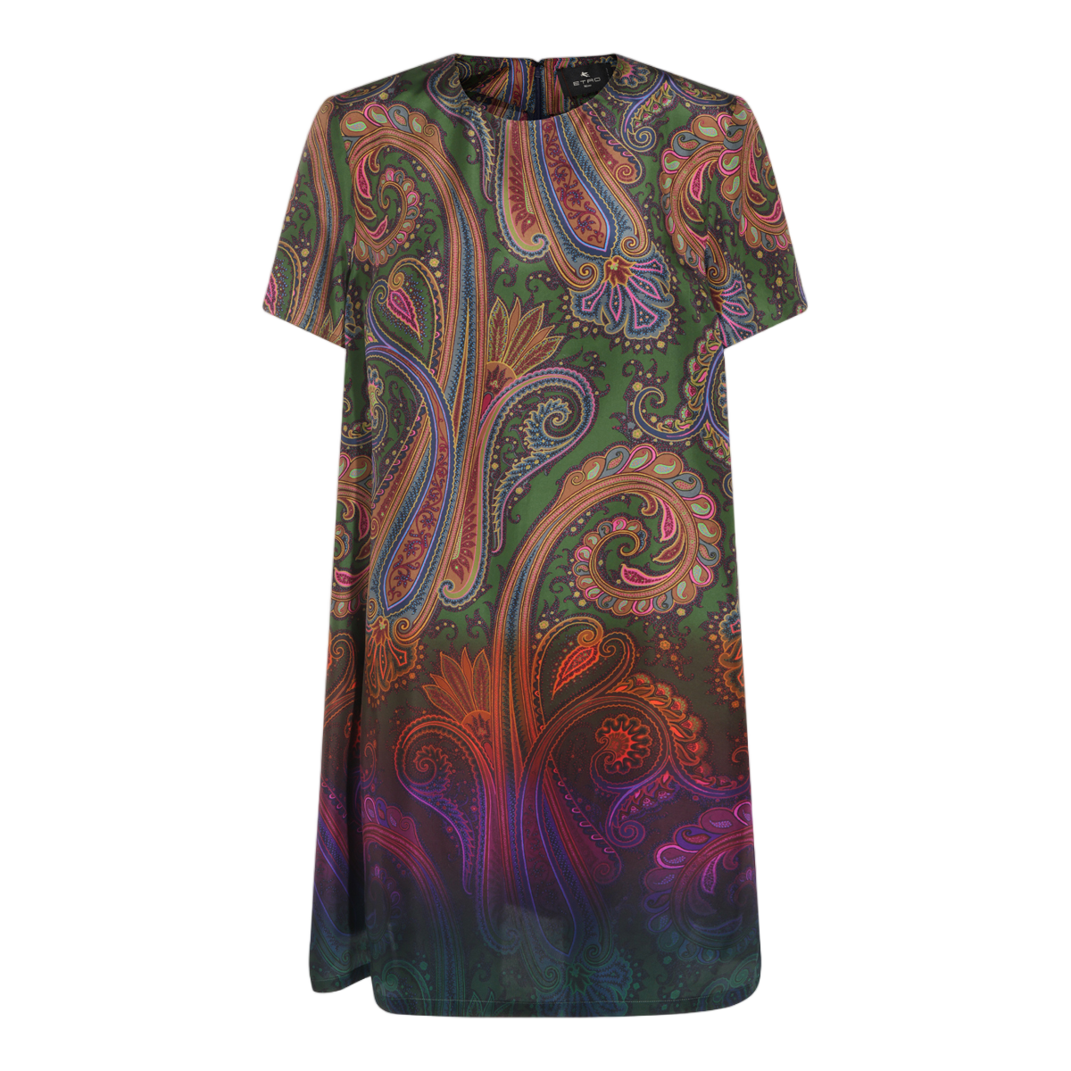 Etro Multicolor Silk Dress with Paisley Motif Grijs