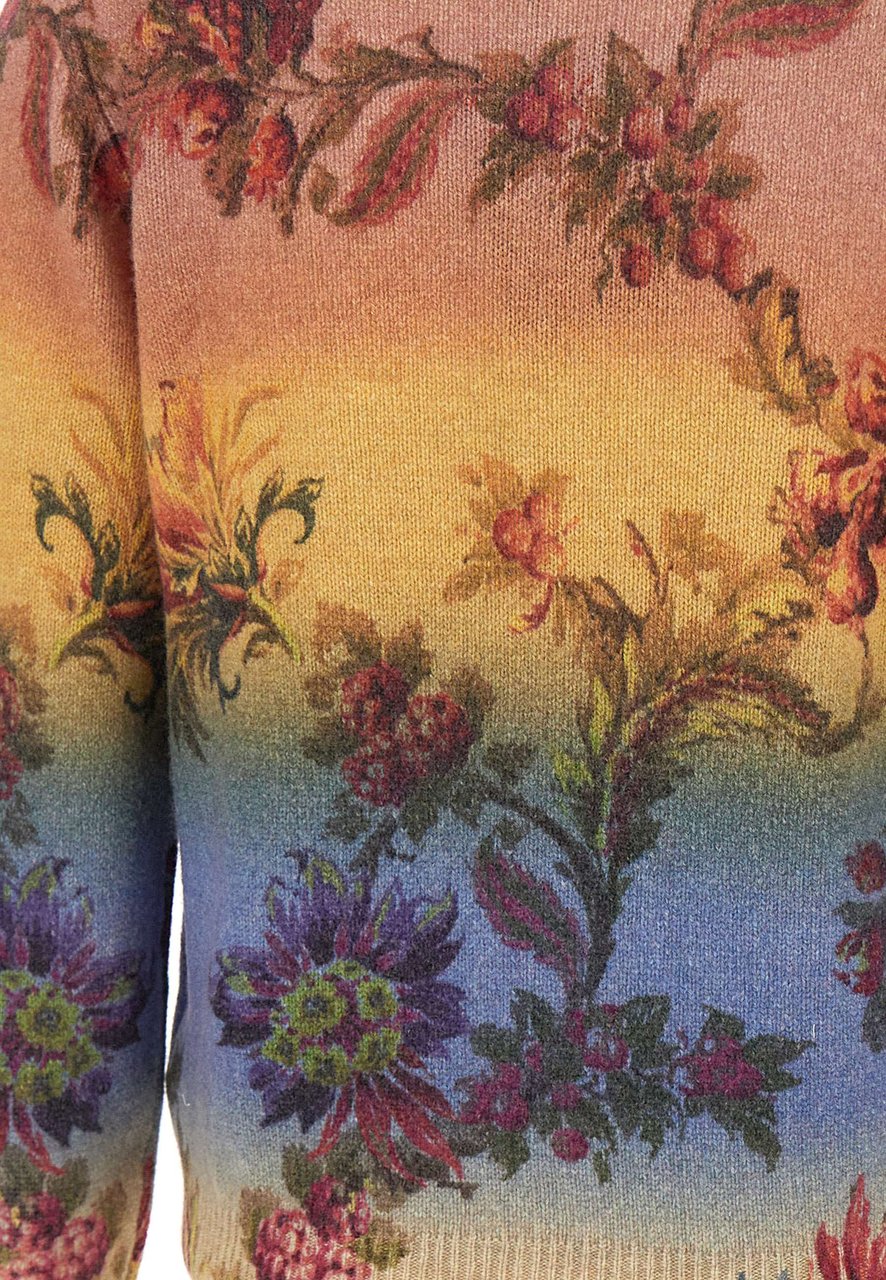 Etro Sweaters Multicolor Divers