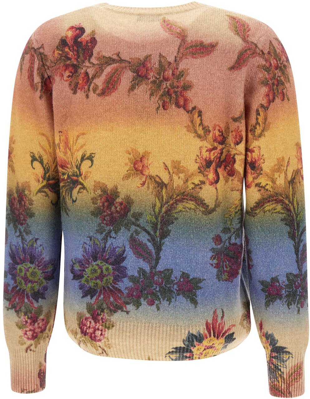 Etro Sweaters Multicolor Divers
