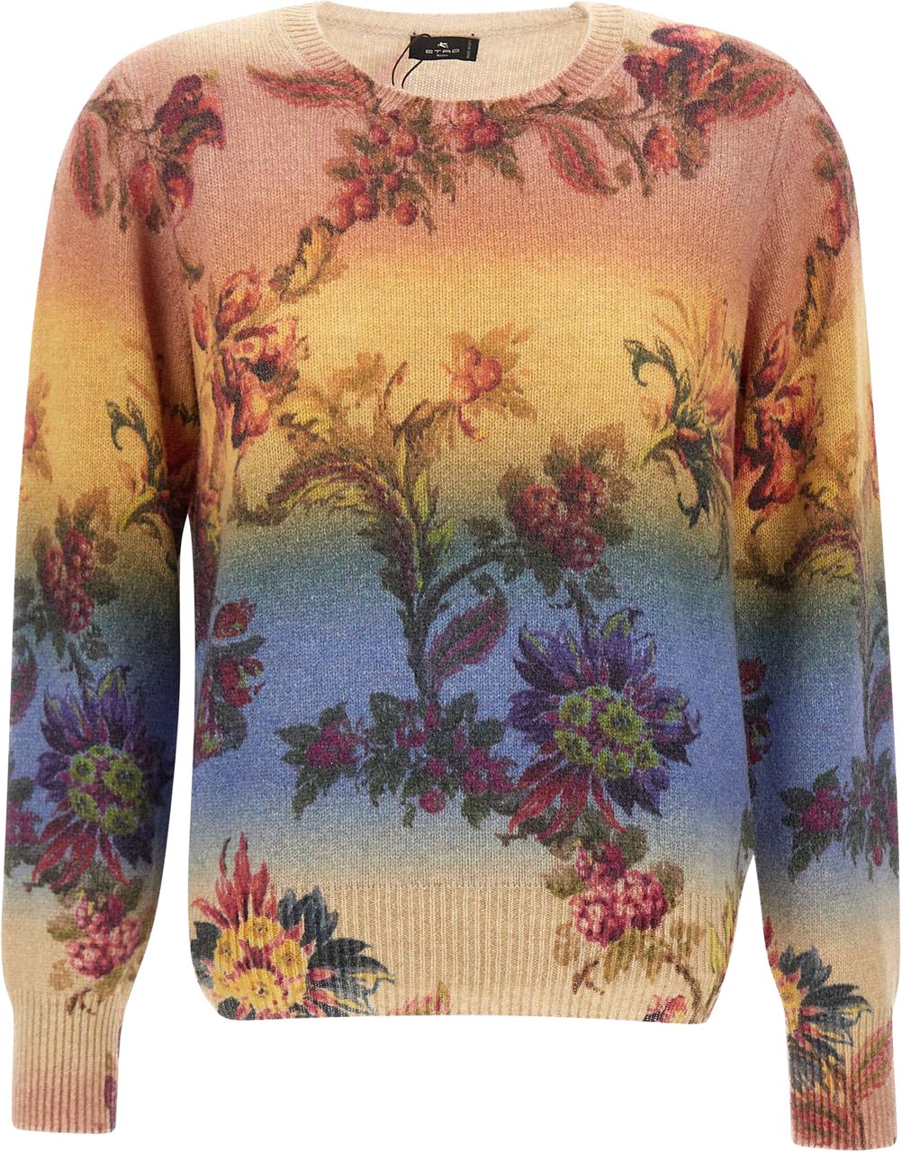 Etro Sweaters Multicolor Divers