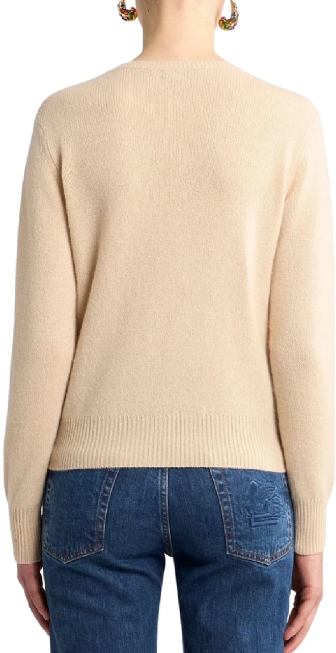 Etro knitwear top divers Divers