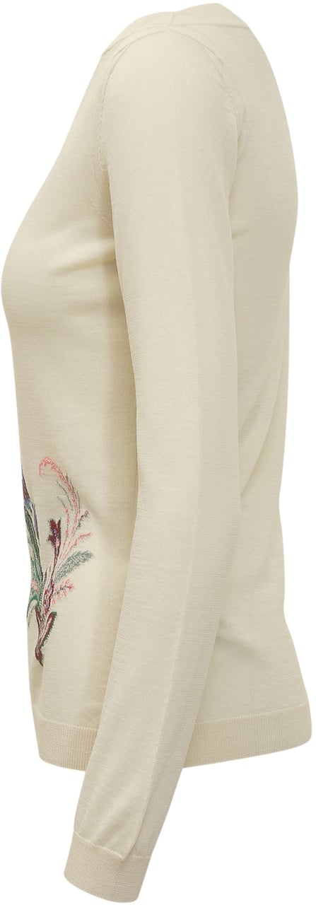 Etro Maglione Etro Wit