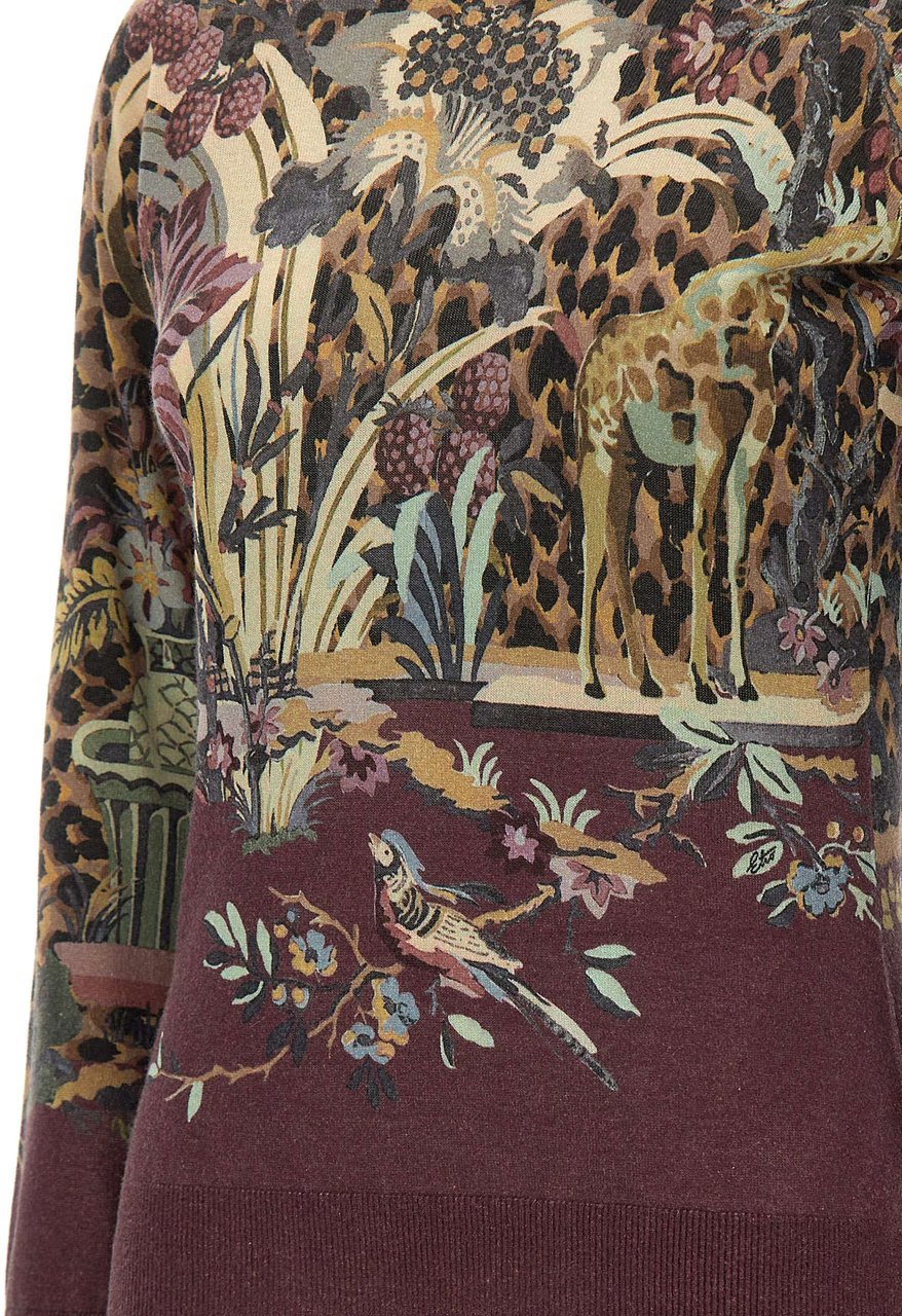 Etro Sweaters Multicolor Divers