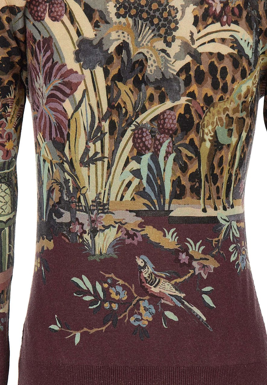 Etro Sweaters Multicolor Divers