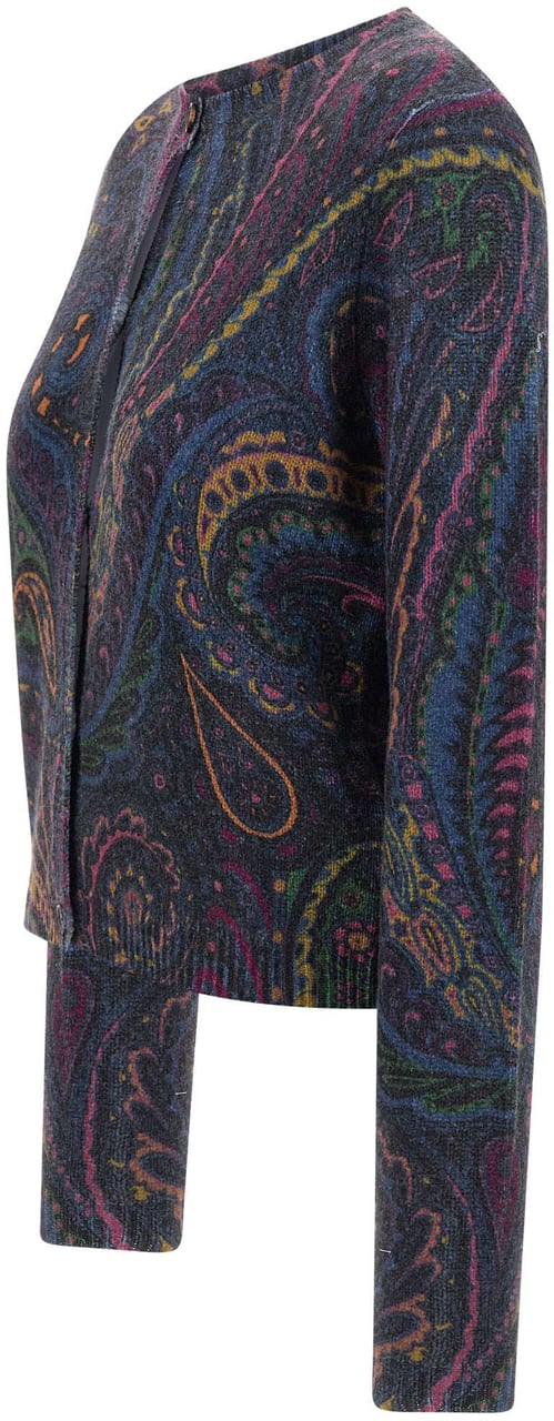 Etro Sweaters Multicolour Divers