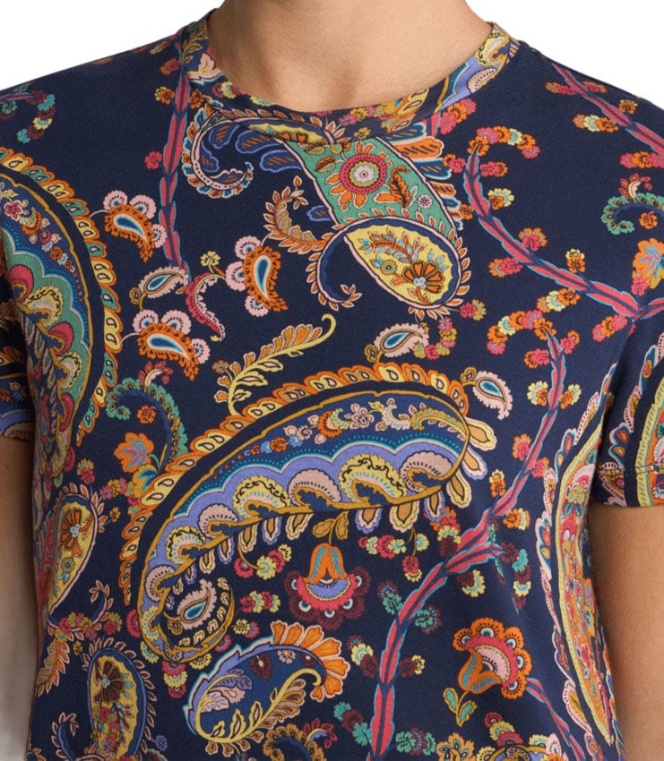 Etro Etro T-shirt E Polo Blu Blauw