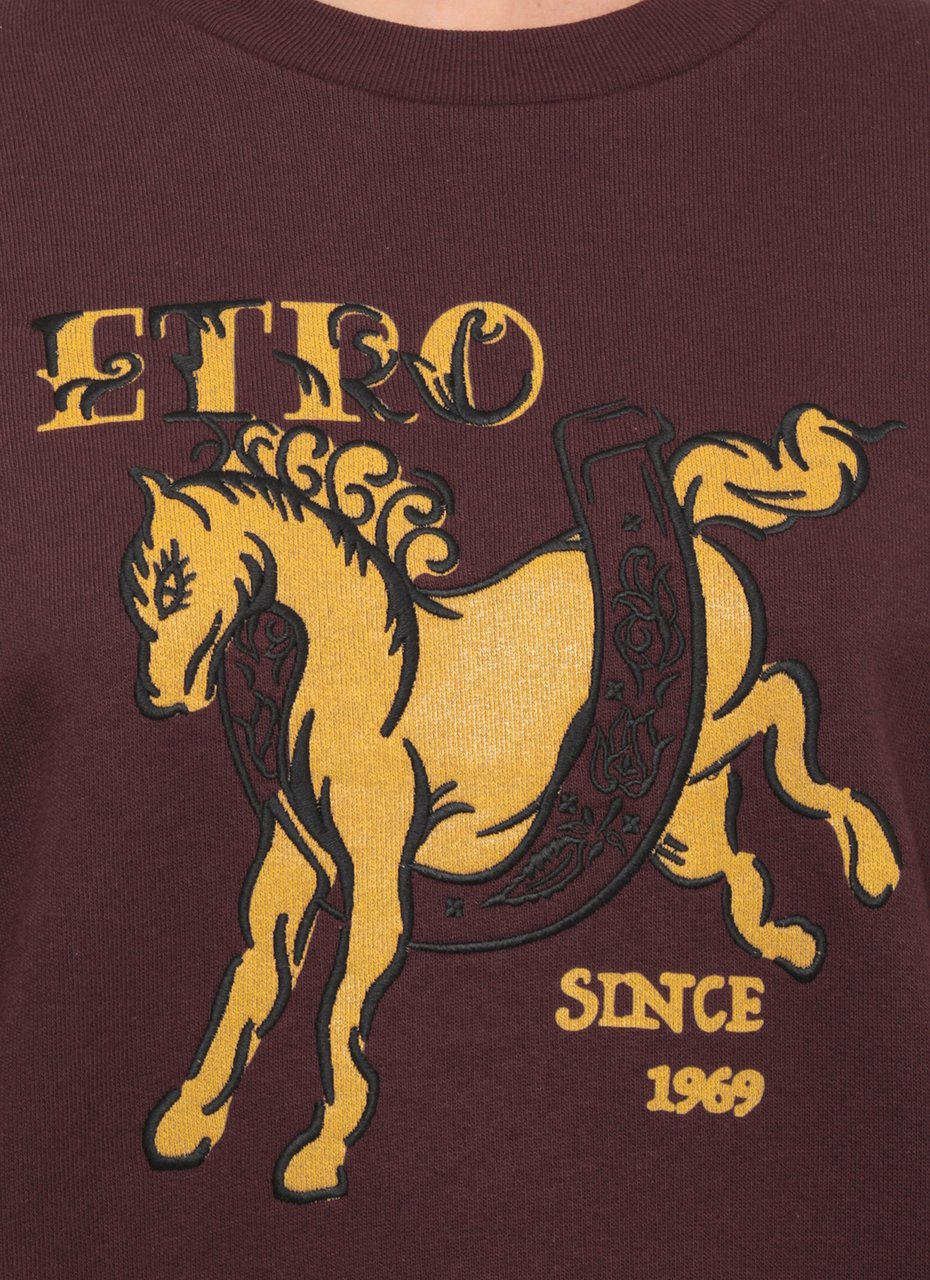 Etro Sweaters Burgundy Maroon