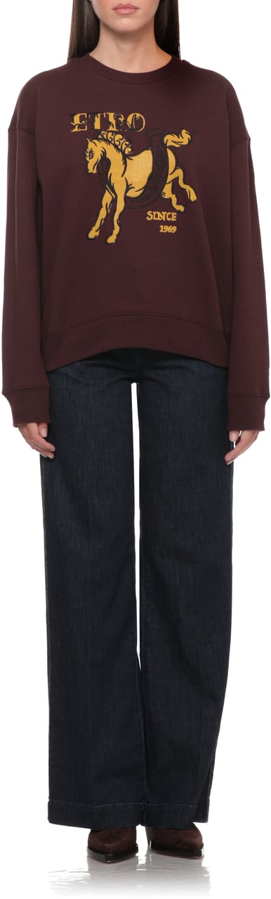 Etro Sweaters Burgundy Maroon