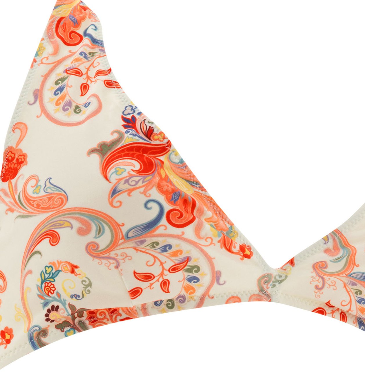 Etro Bikini with paisley print Wit