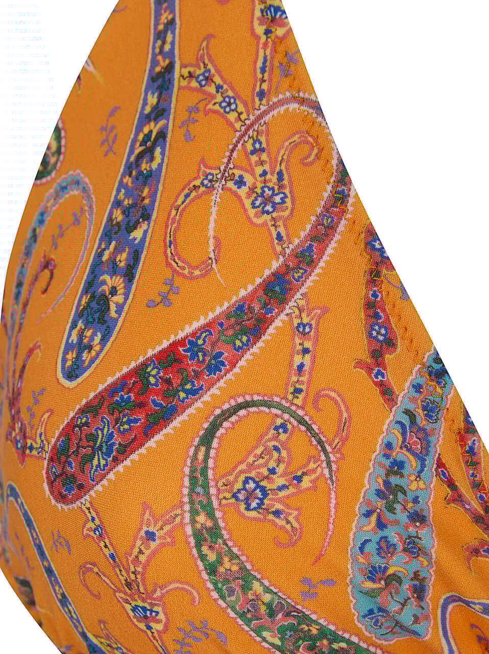 Etro ETRO WOMEN`S TRIANGLE TOP BIKINI Divers