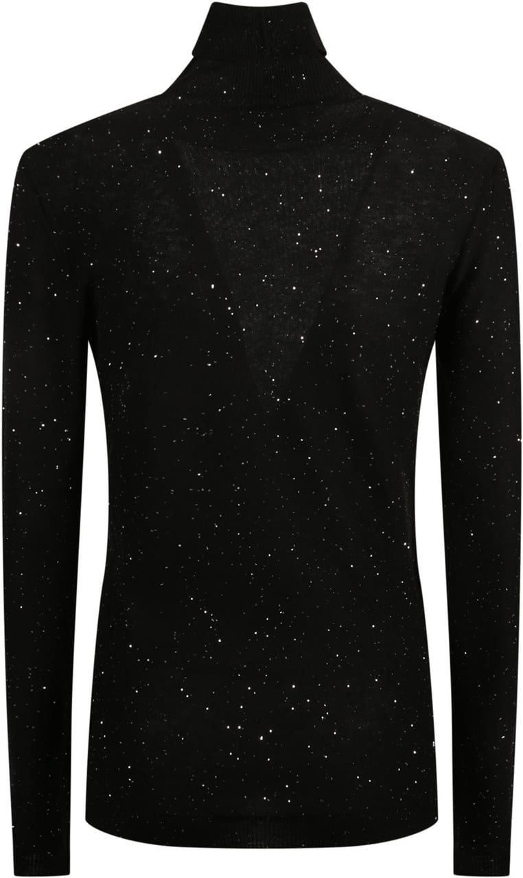 Fabiana Filippi Turtle Neck Sweater Black Zwart