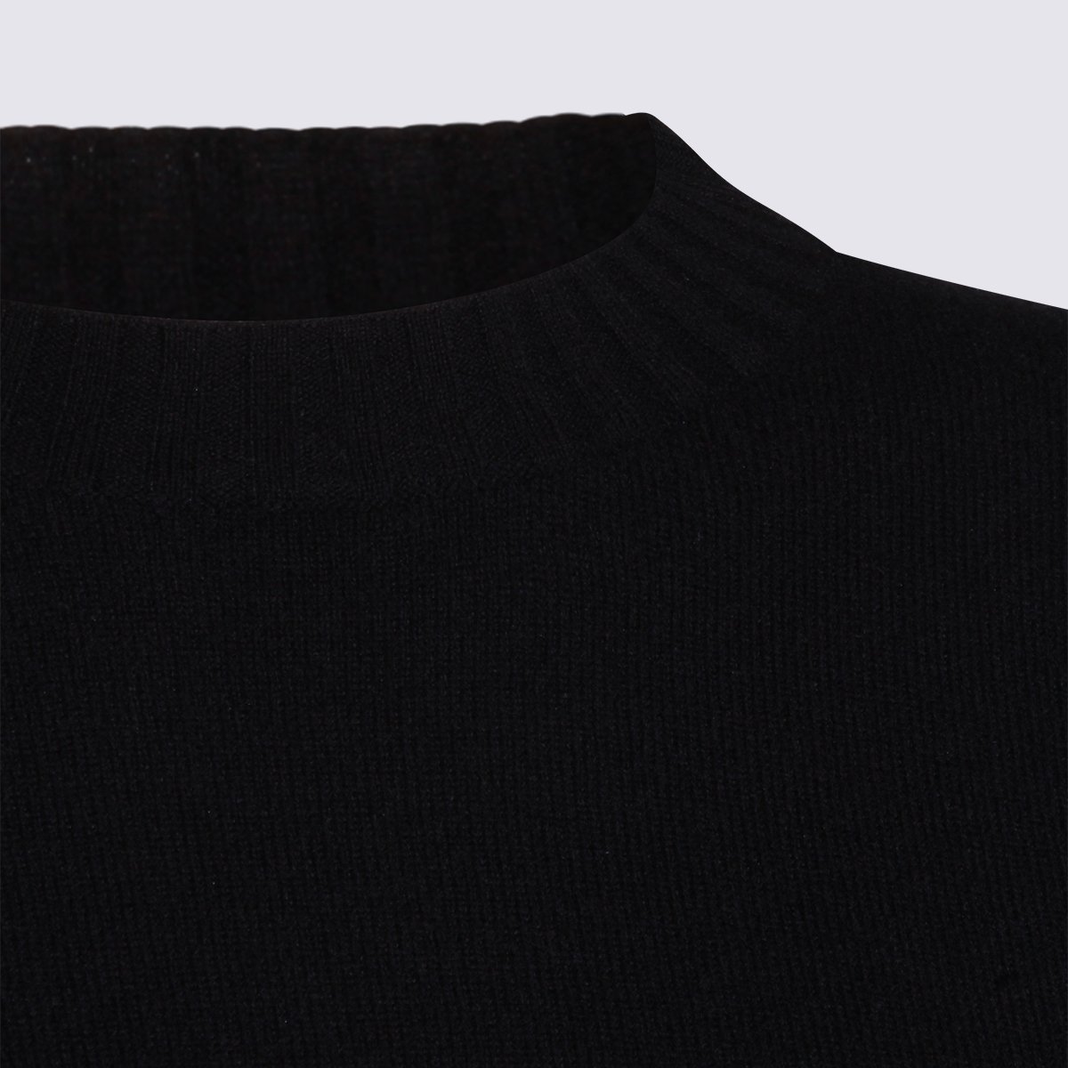 Fabiana Filippi Classic Crew Neck Sweater With Metallic Thread Accents Zwart