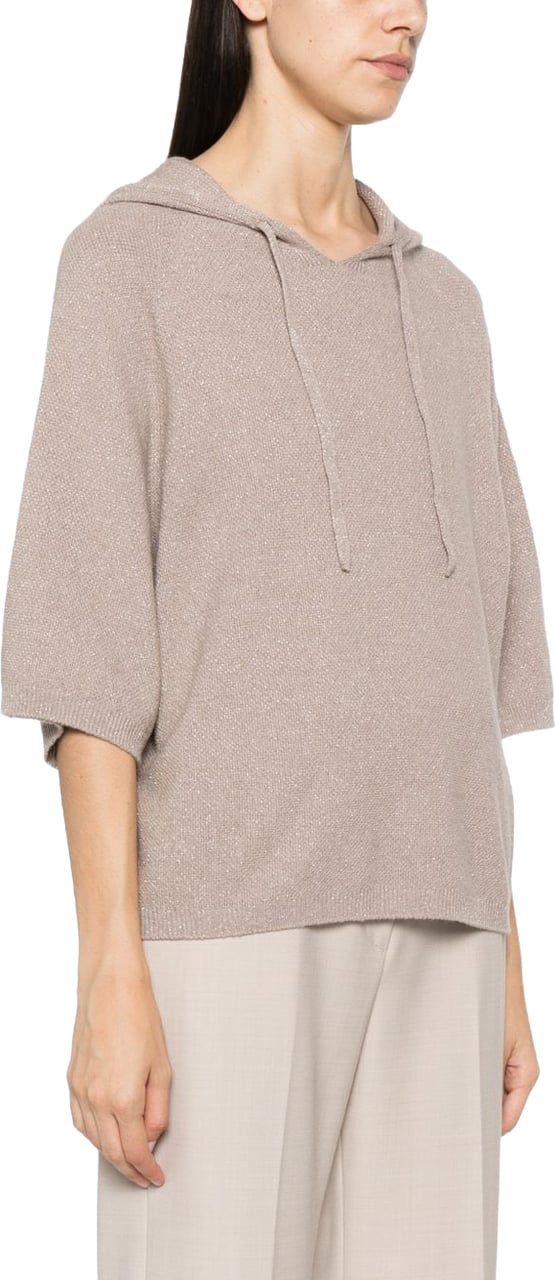 Fabiana Filippi Sweaters Brown Taupe