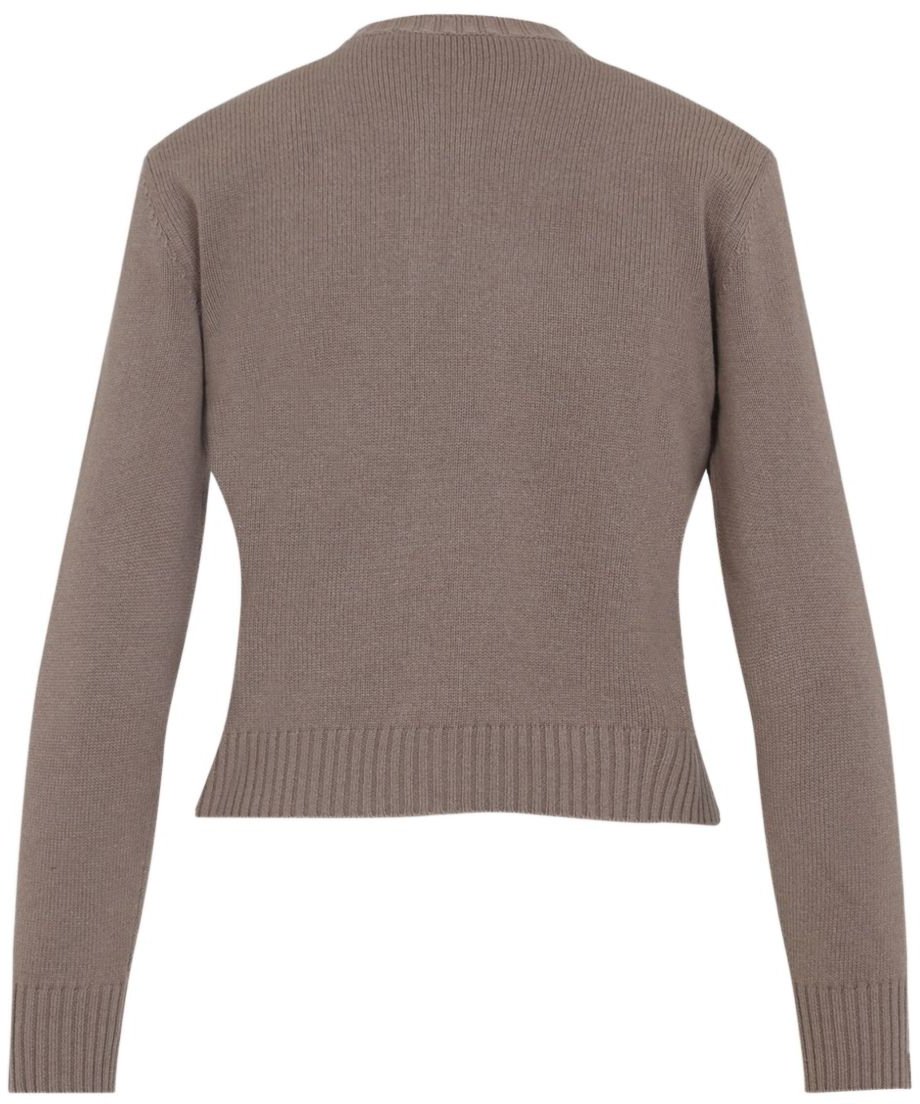 Fabiana Filippi Sweaters Brown Bruin