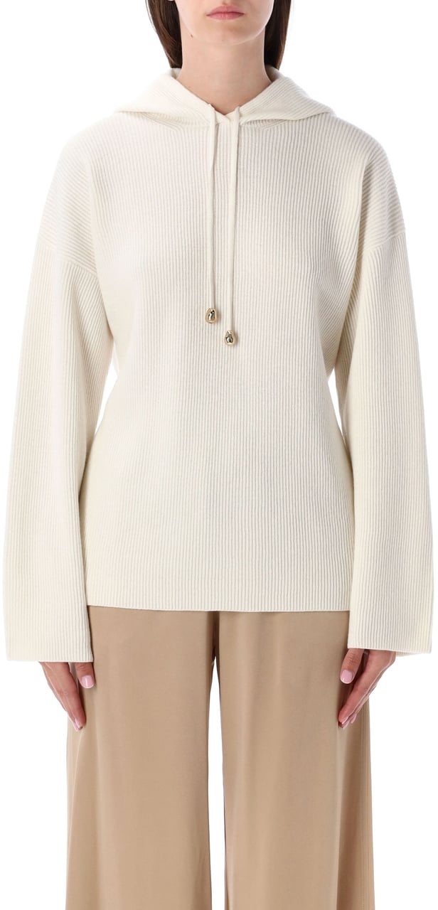 Fabiana Filippi Hooded Sweater Rafia Divers