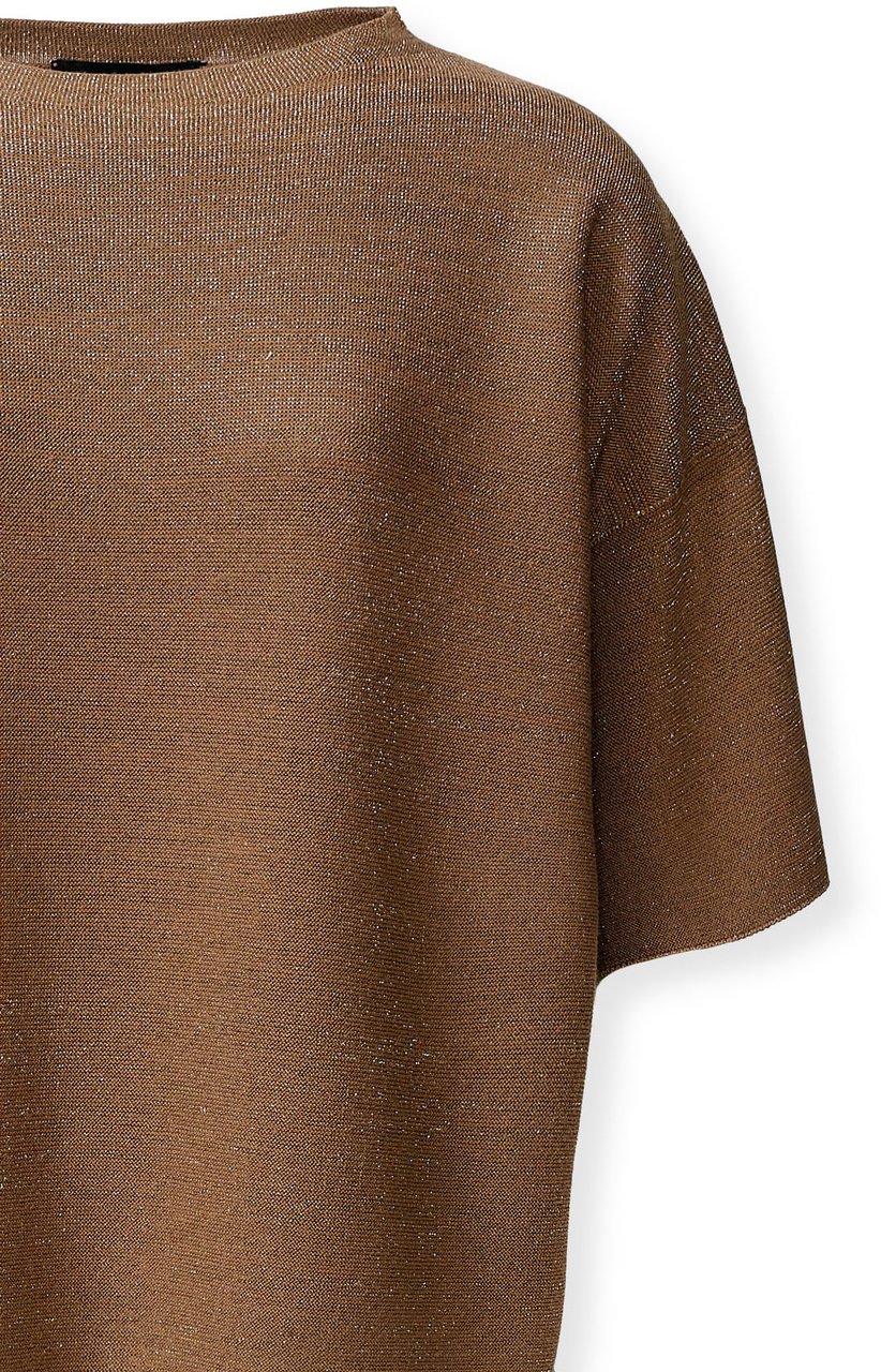 Fabiana Filippi Sweaters Brown Bruin