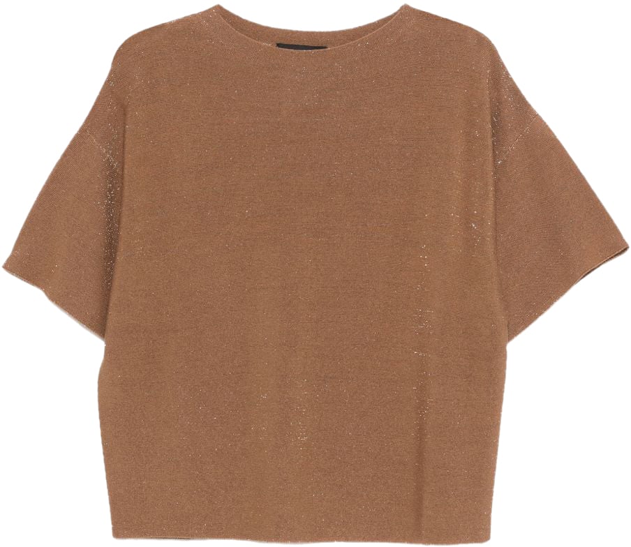 Fabiana Filippi Sweaters Brown Bruin