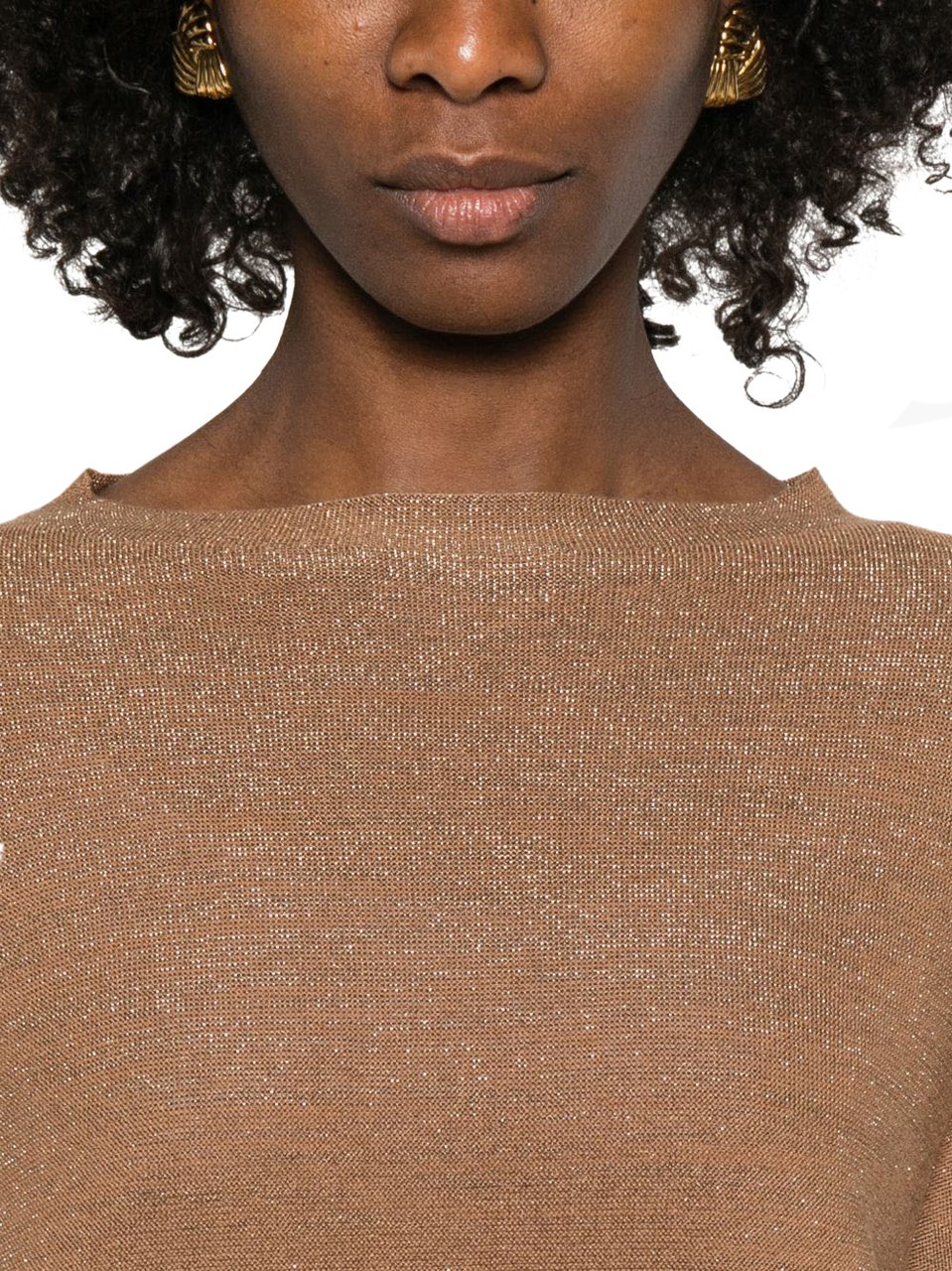 Fabiana Filippi Sweaters Brown Bruin