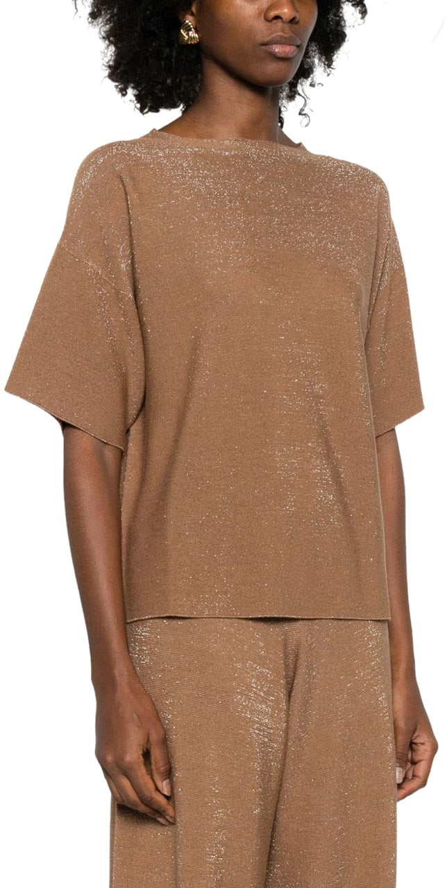 Fabiana Filippi Sweaters Brown Bruin