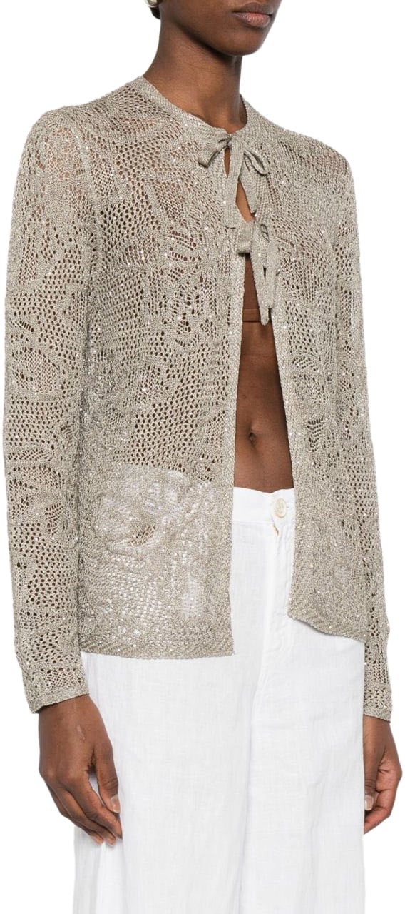 Fabiana Filippi Sweaters Kaki Bruin